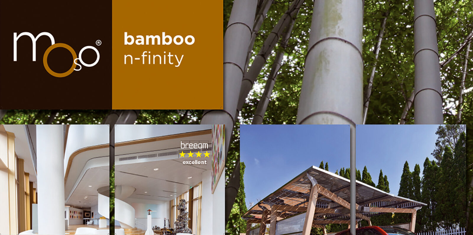 Bamboo N-finity Decoratie Binnen