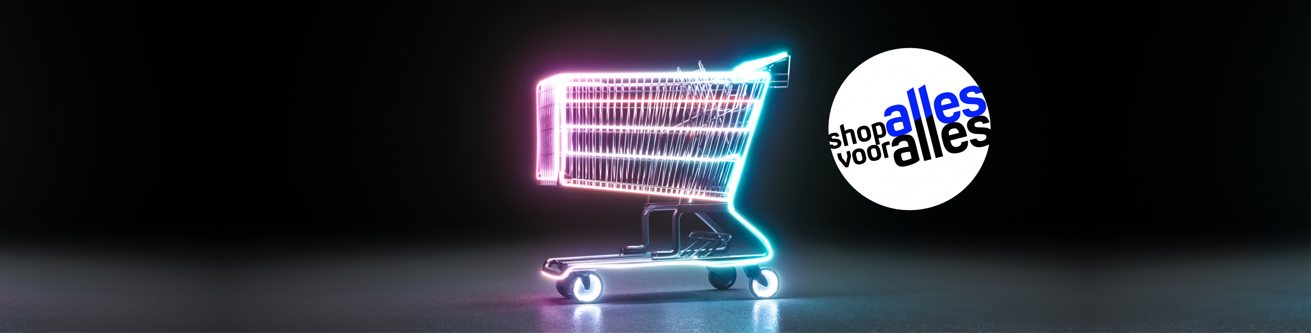 BS_Webshop_header